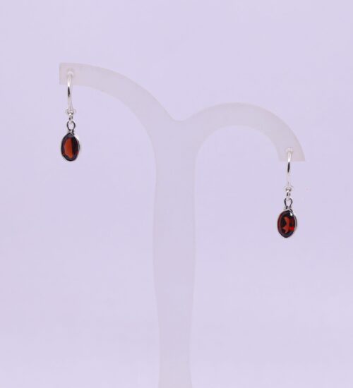 Garnet Fish Hook Earring