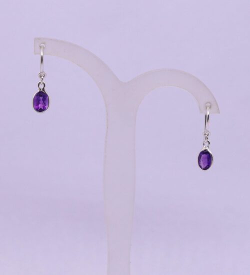 Amethyst Play Hook Earring